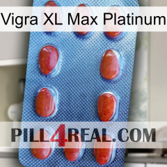 Vigra Xl Max Platinum 06